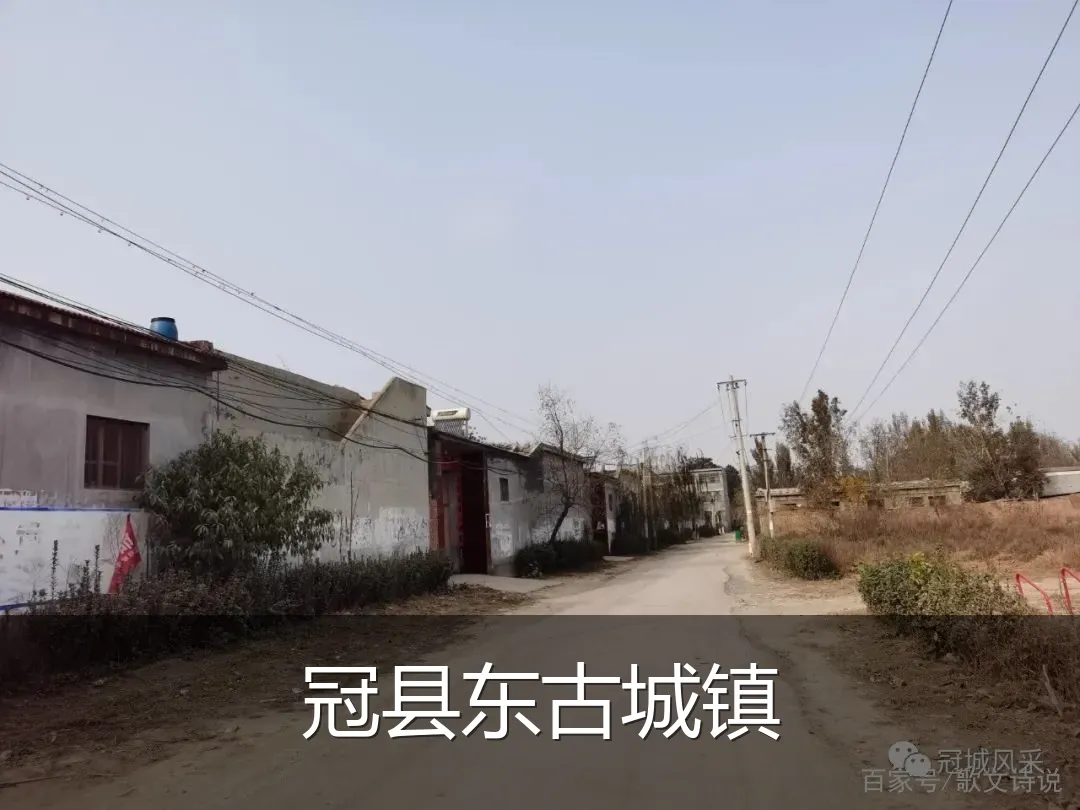 冠县东古城镇