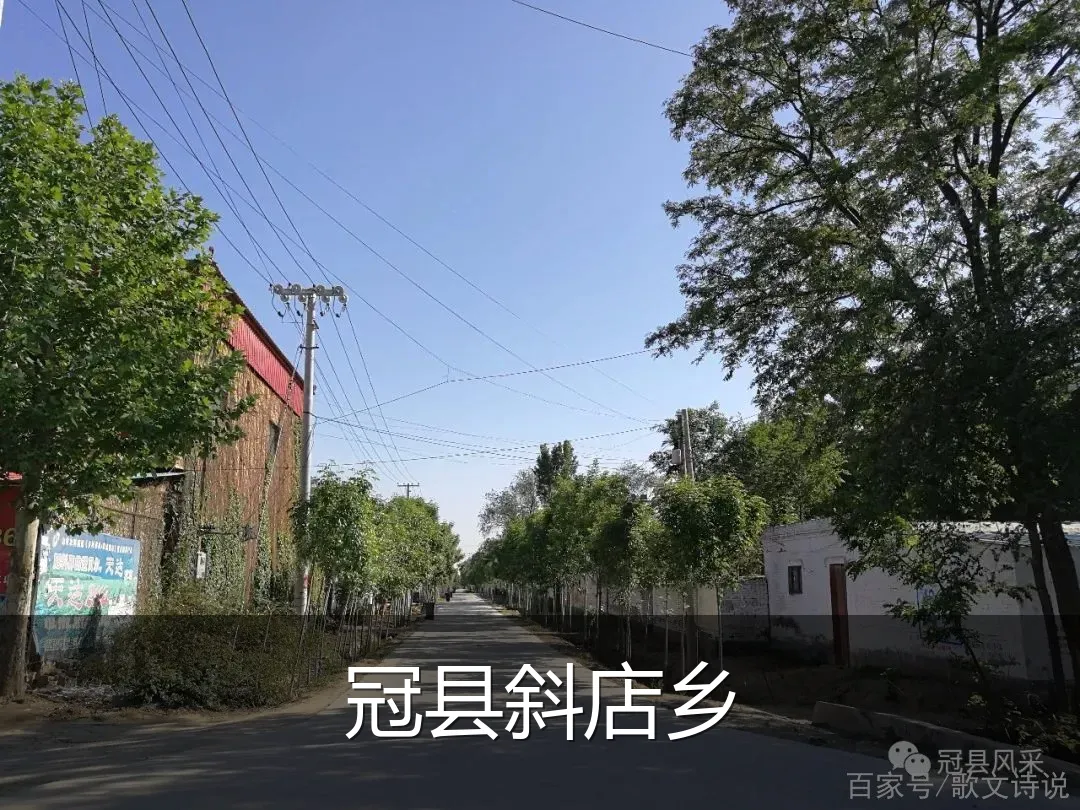 冠县斜店乡