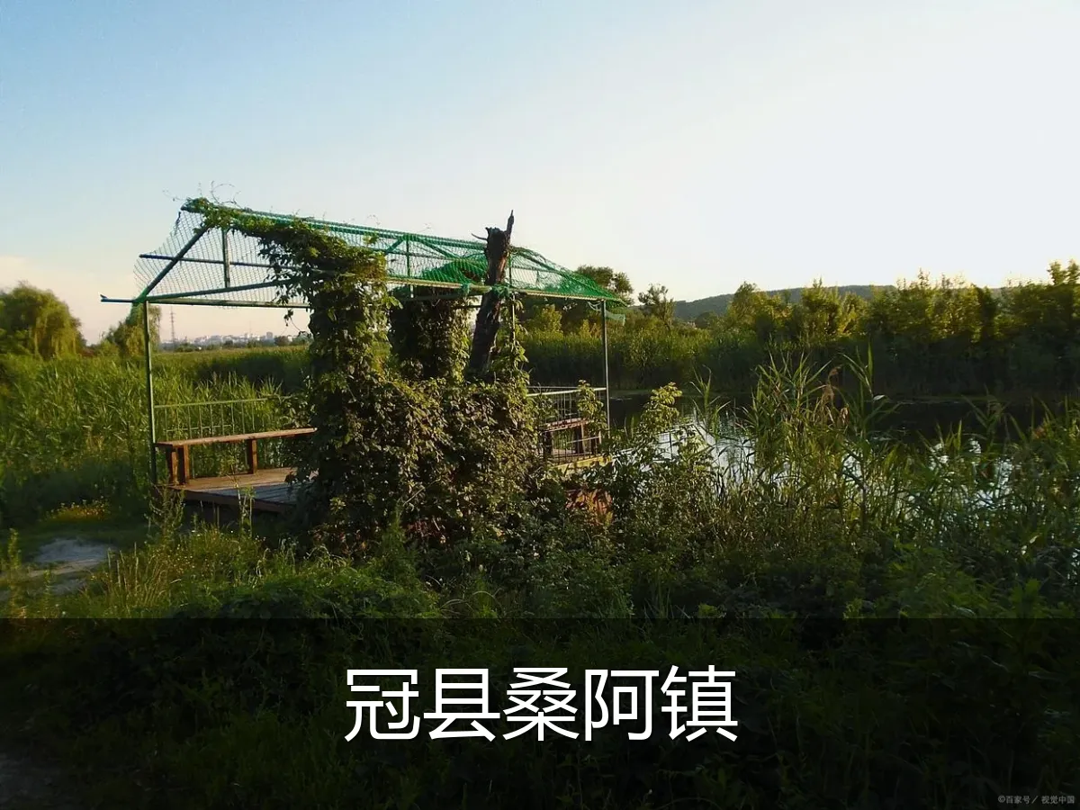 冠县桑阿镇